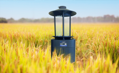 高标准农田建设必备品：智能虫情测报灯
